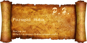 Pozsgai Huba névjegykártya